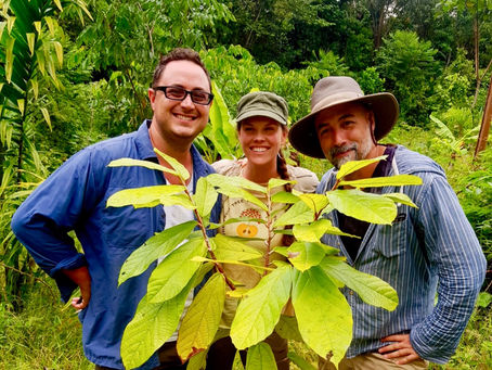 Partnerships, Fruit Trees, and Land Restoration in the Peruvian Amazon, with FTPF's James Kaechele