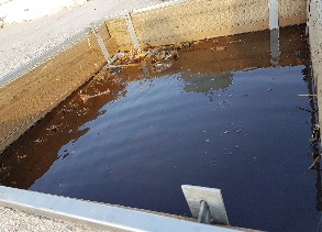 Fermentación