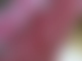 昨日のすばる工房