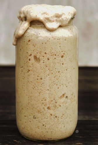 Masa Madre