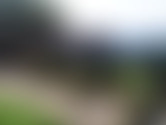 Twierdza Königstein