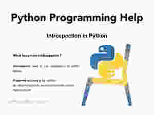 Python Programming Help : Introspection in Python - Codersarts