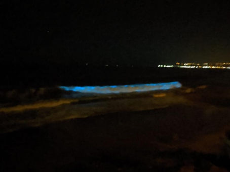 For Real Bioluminescent Waves
