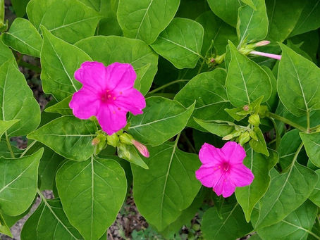 夏期休室について