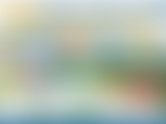 Home Buying Process For First Time Buyers in Forney, Texas | Tips by Top Forney Real Estate