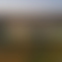 LA GOLE DEL SIMETO ED IL PONTE DEI SARACENI:
BELLEZZE NASCOSTE DEL NOSTRO TERRITORIO