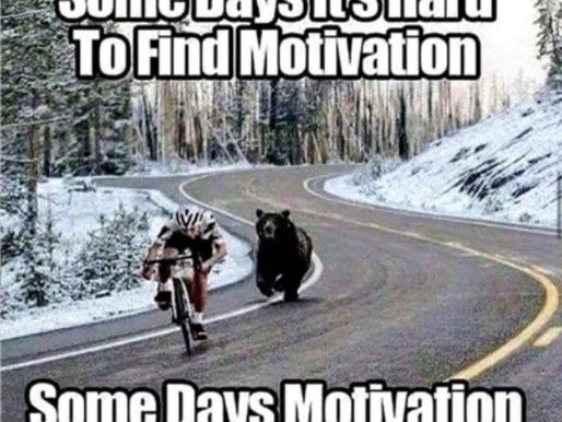 Wie unser Handwerk mit der Digitalisierung wirklich umgeht… oder umgehen sollte.