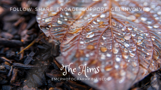 commercial photographer. charity project. travel photographer. travel blog. travel blogger. goals. charity photographer. elton Cilliers. EmC Photography.