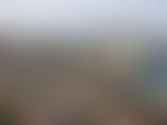 No hay presupuesto para ejecutar censo pesquero en Cartagena: Aunap