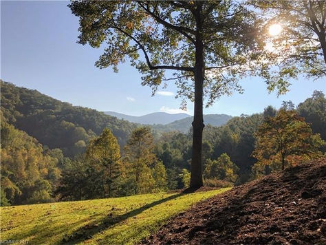 145 Mundy Cove Road, Weaverville, NC 28787, MLS 3323250