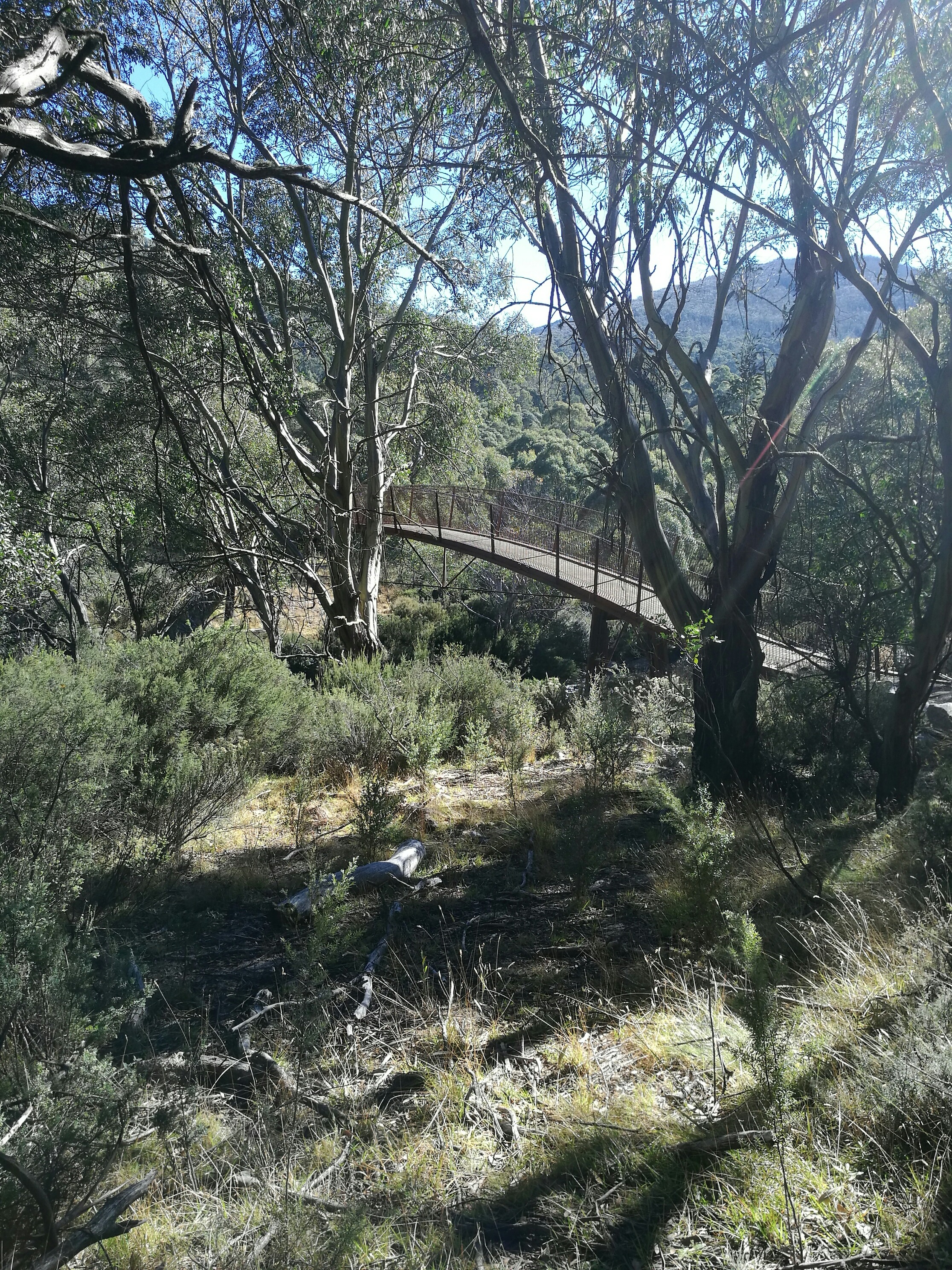 Thredbo Valley Walk content media