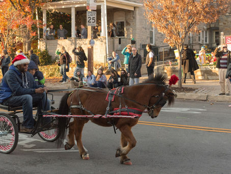 Another Day Another Photo - 10