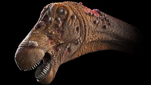 THE WALKING DEAD: DINO’S EDITION
content media