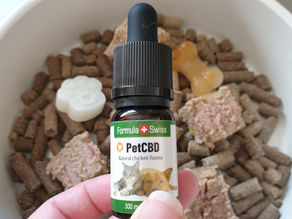 Review: CBD Oil - Does it Work?