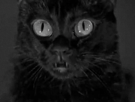 some mystery both black and bright