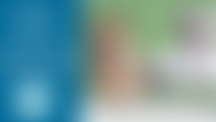 $20 Special for large and bully breed dogs