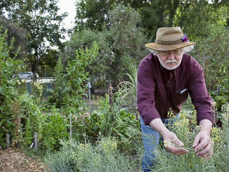 The First Thing To Plant In A Garden