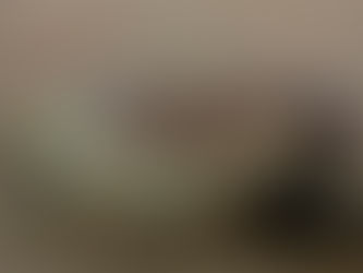 TARTARUGA E GOLFINHO APARECEM MORTOS EM MENOS DE UM MÊS EM PRAIA DE CABO FRIO