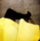 negro amarillo psicologia del color estudio m