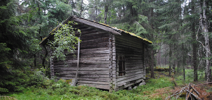 Ye Ole’ Woodshed. 