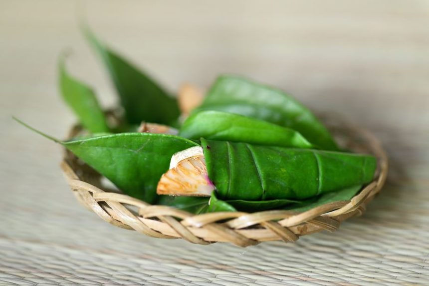 [Truyện Gieo] Sự tích trầu cau - Phần 2