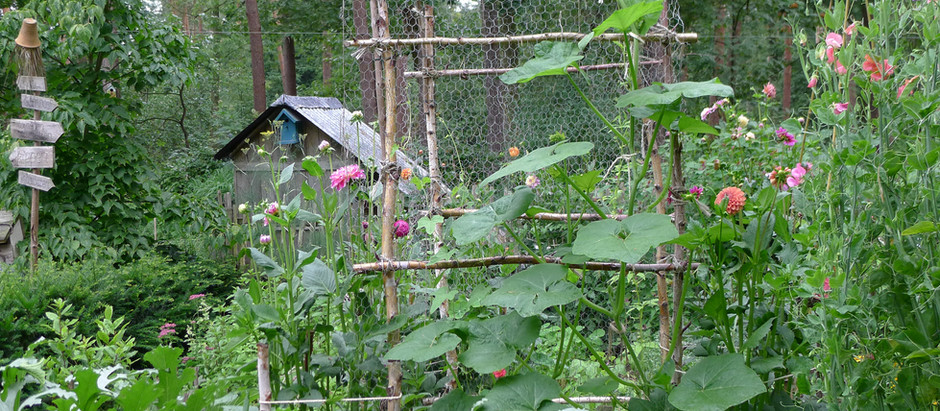 JE EIGEN MOESTUIN