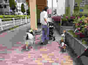 ヒールウォーク