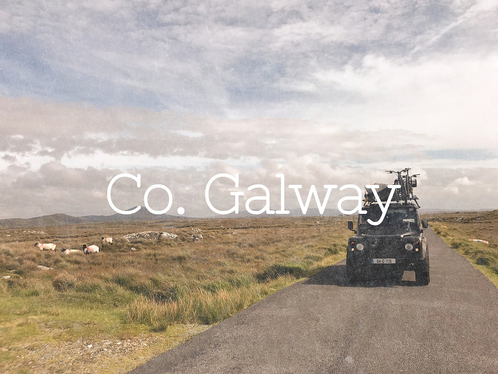Coopers Travels - Dogfatherz Galway