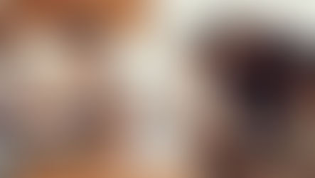 COVID-19'te B2B Pazarlama: Deneyimler de haber medyasıyla aynı şekilde değişiyor