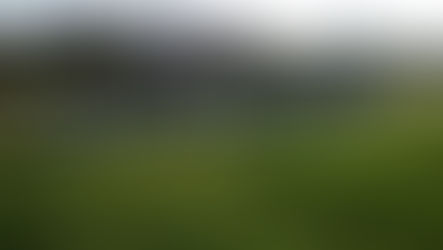 João Dourado: Homem é preso suspeito de estupro contra criança de 10 anos.