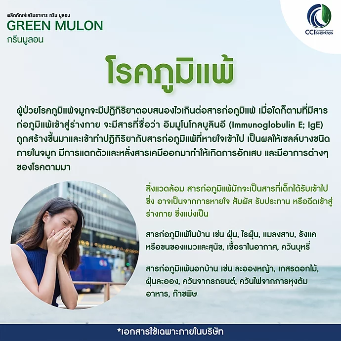 กรีนมูล่อน Green mulon รักษาลมพิษเรื้อรัง ลมพิษผื่นคัน โรคหอบหืด แพ้อากาศ แพ้ฝุ่น แพ้ไรฝุ่น ภูมิแพ้เรื้อรัง