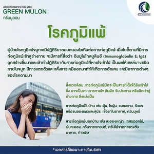 กรีนมูล่อน Green mulon รักษาลมพิษเรื้อรัง ลมพิษผื่นคัน โรคหอบหืด แพ้อากาศ แพ้ฝุ่น แพ้ไรฝุ่น ภูมิแพ้เรื้อรัง