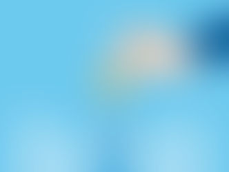 Increased Investor Buyer Activity Post- Lockdown | REINZ Survey