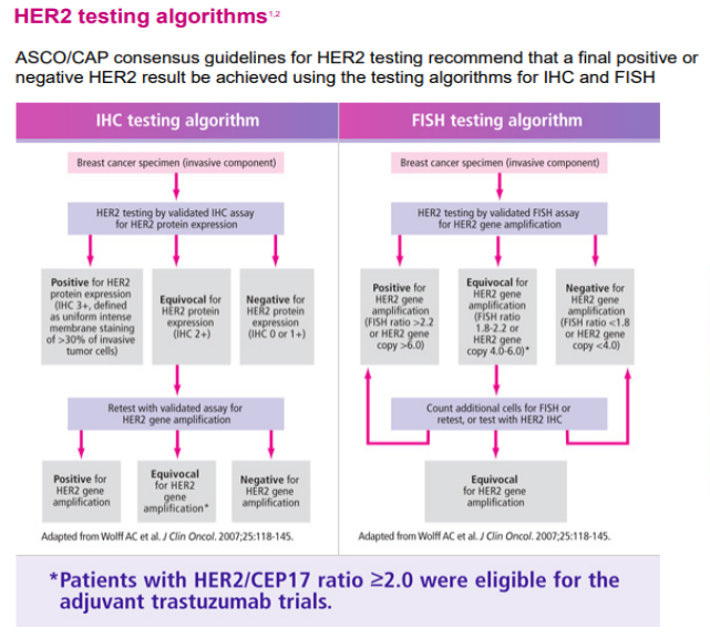 ER/PR/Her2 Receptor studies in Breast Cancer