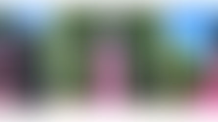 Black Lives Matter Toronto rallies to defund the police