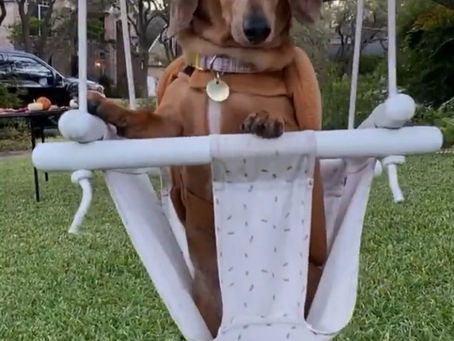 I'm Uncomfortable You Sure About This?