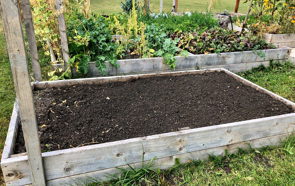 10 Steps to Prepare Your Garden for Winter