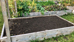 10 Steps to Prepare Your Garden for Winter