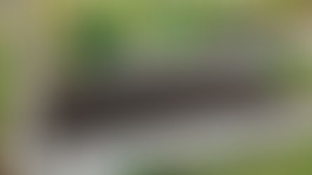 10 Steps to Prepare Your Garden for Winter