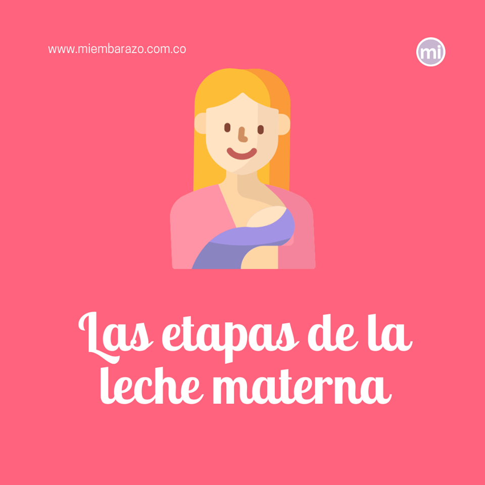 Las etapas de la leche materna content media