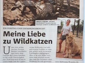 Meine Liebe zu afrikanischen Wildkatzen