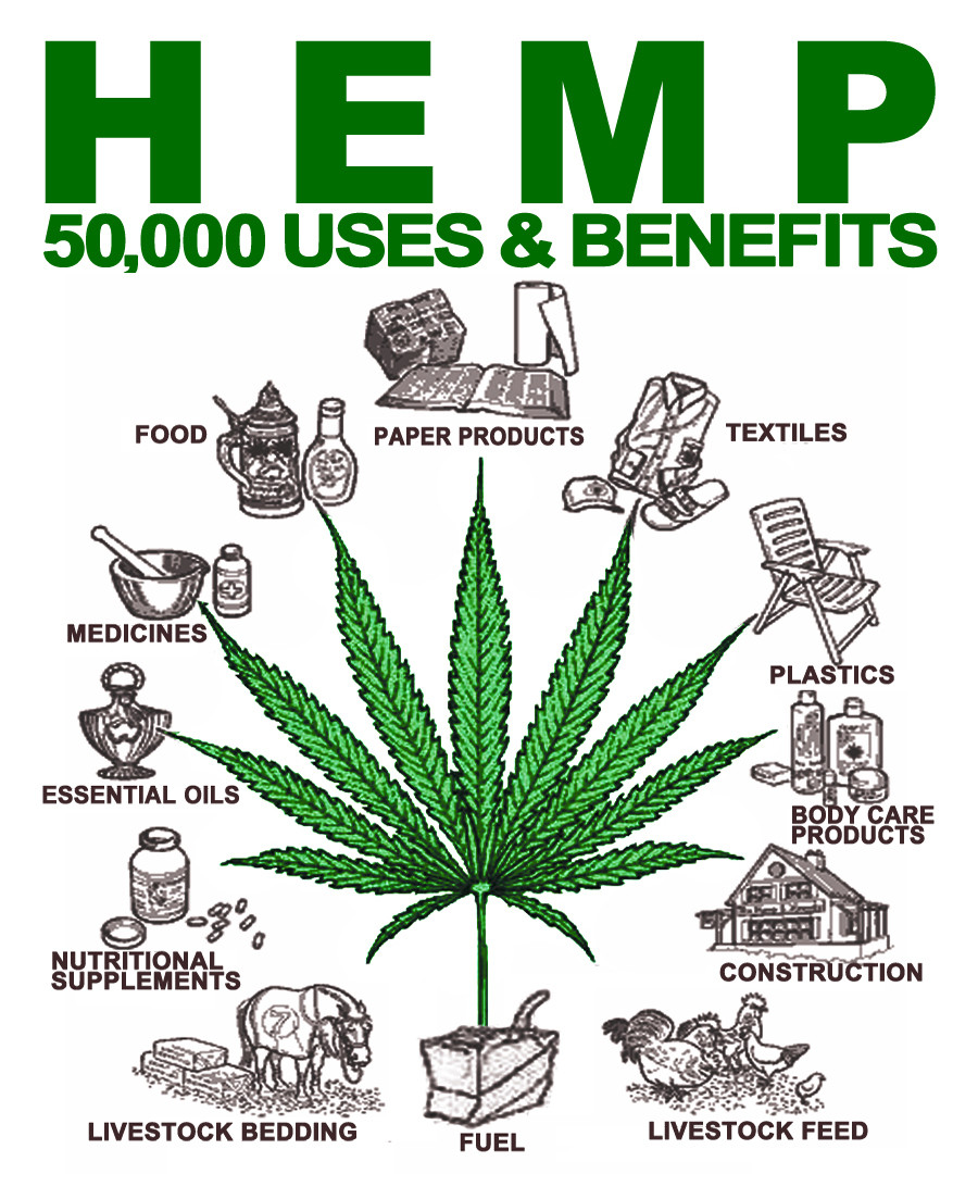 Hemp - natural - sustainable