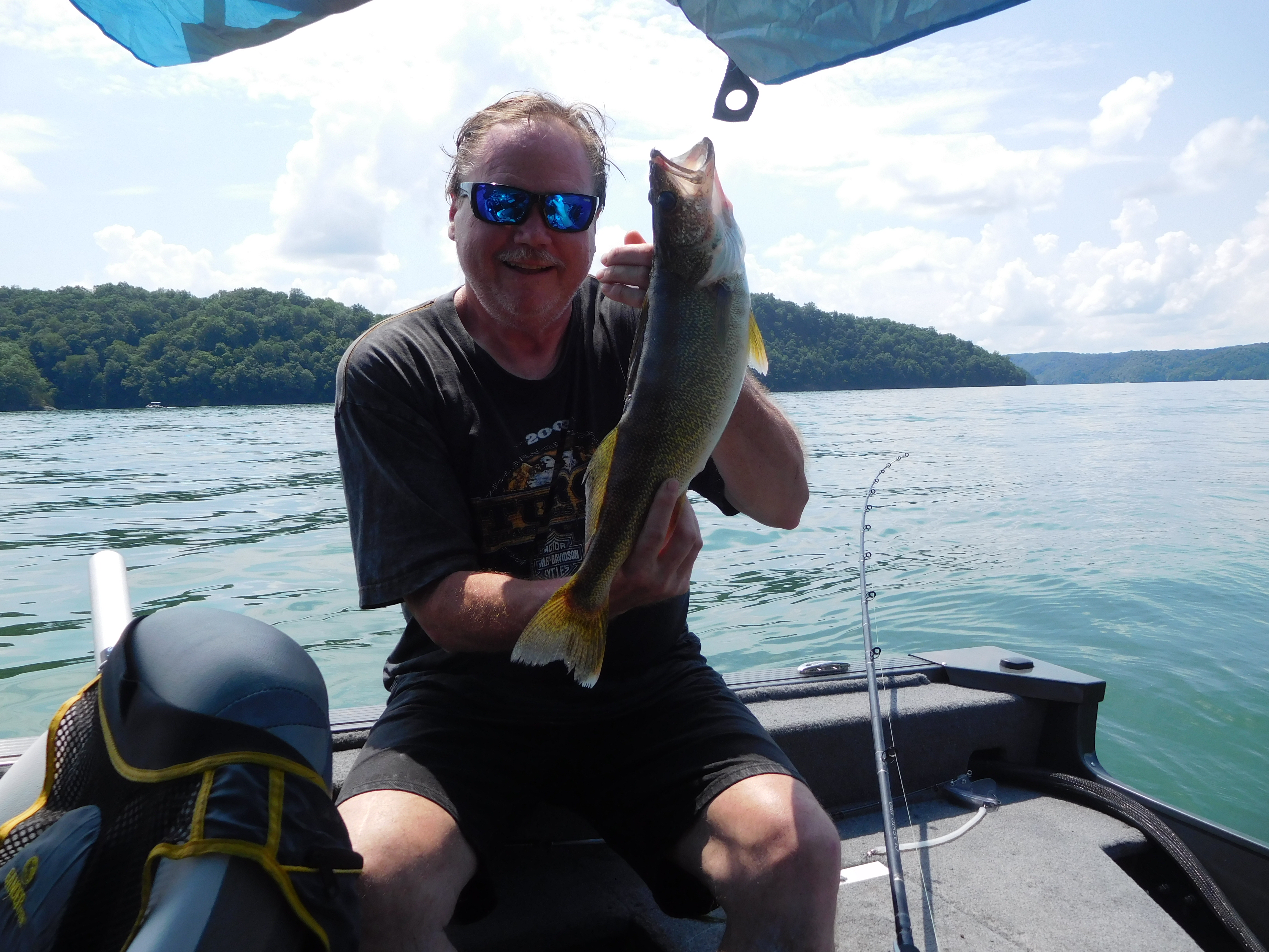 Some Octostinger Walleye content media