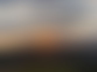 Amore dei Sentimenti e Sentimento dello Stato di Coscienza