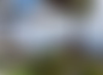 527 Little Mountain Road Waynesville, NC 28786 MLS ID#: 3491773