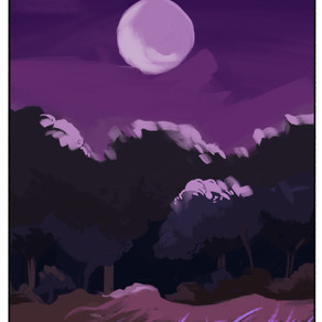 Page roughs