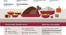 Wondering About SAFE Holiday Foods for Your Pet?