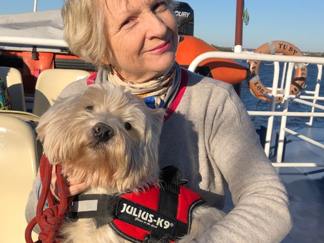 JOURNAL DE DÉCONFINICHEMENT DE MON POTE, WESTIE DE 6 ANS 1/2