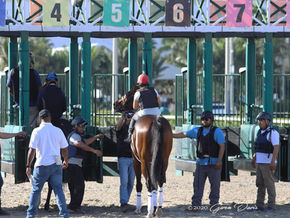 Dennis' Moment Looks for Better Racing Luck in Fountain of Youth