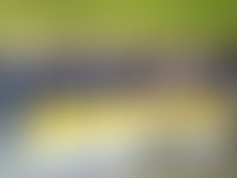 Conselho Deliberativo dos Calabrianos participa em Assembleia Geral Extraordinária da AMECC